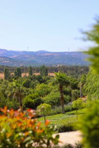 kazdaglari pinhan otel doğa resimleri - 7