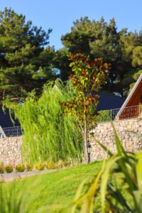 pinhan otel kazdağları doğa fotoğrafları çanakkale 11