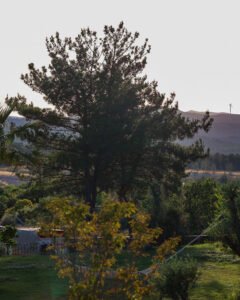 pinhan otel kazdağları doğa fotoğrafları çanakkale 15