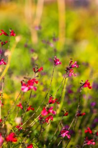 pinhan otel kazdağları habitat otel fotoğrafları çanakkale-1