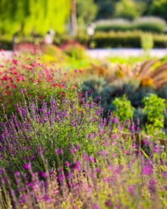 pinhan otel kazdağları habitat otel fotoğrafları çanakkale-12
