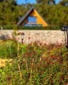 pinhan otel kazdağları habitat otel fotoğrafları çanakkale-3