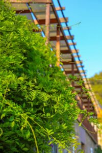 pinhan otel kazdağları habitat otel fotoğrafları çanakkale-7